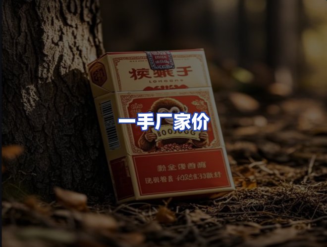 专业团队